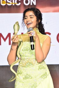 Karthikeya 2 Pre-Release attended by Nikhil Siddharth and Anupama Parameswaran