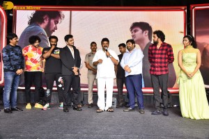Karthikeya 2 Pre-Release attended by Nikhil Siddharth and Anupama Parameswaran