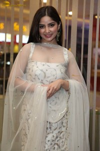 actress Kashmira Pardeshi photoshoot