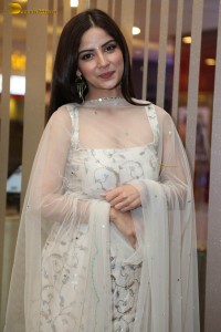 actress Kashmira Pardeshi photoshoot