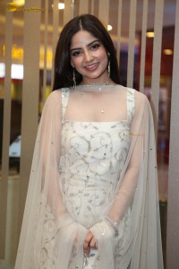 actress Kashmira Pardeshi photoshoot