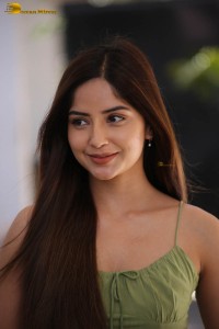 actress kashmira pardeshi cute looks in a green dress