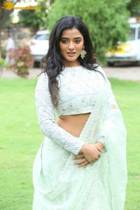 Telugu Actress Ketika Sharma