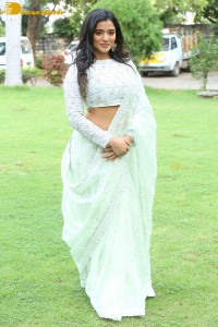 Telugu Actress Ketika Sharma