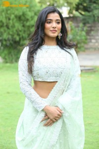 Telugu Actress Ketika Sharma