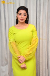 Actress Ketika Sharma pretty in a green dress