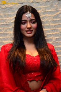 Ketika Sharma Picture Gallery 9