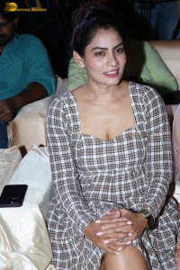 Korameenu Pre-Release attended by Lakshman and Kishori Dhatrak