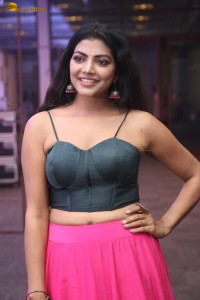 actress lahari stylish looks in a grey top and pink skirt