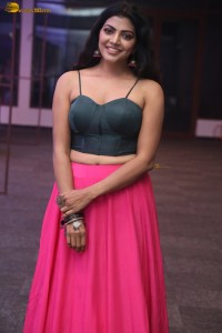 actress lahari stylish looks in a grey top and pink skirt