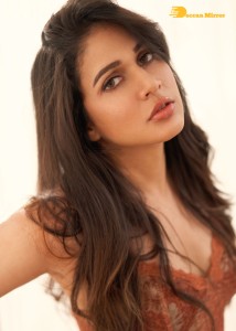 Lavanya Tripathi Photoshoot