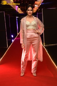 Telugu Actress Lavanya Tripathi