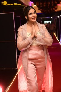 Telugu Actress Lavanya Tripathi