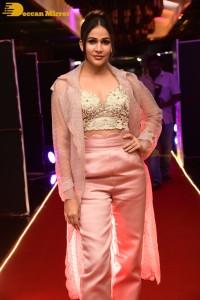 Telugu Actress Lavanya Tripathi