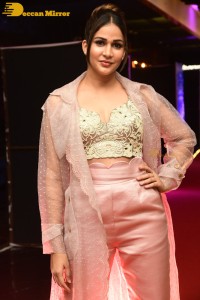 Telugu Actress Lavanya Tripathi