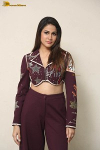 actress lavanya tripathi photoshoot