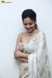 actress leesha eclairs sexy cleavage show in a saree