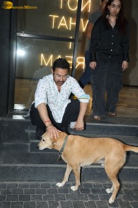 Loveyapa Special Screening attended by Aamir Khan, Dharmendra, Rekha, and Shabana Azmi