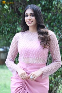 actress Maanasa Choudhary cute photoshoot in a pink dress