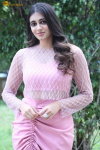 actress Maanasa Choudhary cute photoshoot in a pink dress