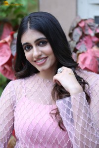 Maanasa Choudhary Picture Gallery 2