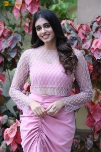 actress Maanasa Choudhary cute photoshoot in a pink dress