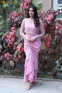 actress Maanasa Choudhary cute photoshoot in a pink dress