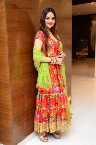 Tamil and Telugu Actress Madhubala in a red and green dress