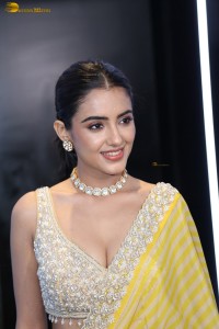 actress Malvika Sharma stunning in a yellow saree