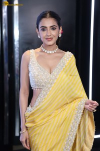 actress Malvika Sharma stunning in a yellow saree