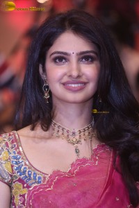 Indian actress Manasa Varanasi gorgeous in a pink saree