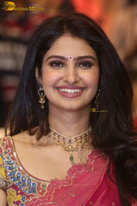 Indian actress Manasa Varanasi gorgeous in a pink saree