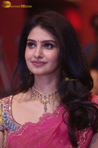 Indian actress Manasa Varanasi gorgeous in a pink saree