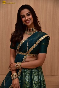 Meenakshi Chaudhary Picture Gallery 11