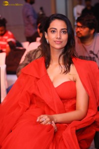 Meenakshi Chaudhary Picture Gallery 12