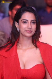 actress Meenakshi Chaudhary red hot looks in a red dress at SIIMA event