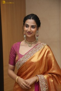 Indian actress Meenakshi Chaudhary dazzles in a yellow gold color saree at a function