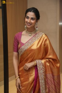 Indian actress Meenakshi Chaudhary dazzles in a yellow gold color saree at a function