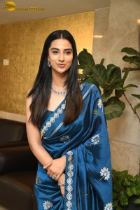 actress Meenakshi Chaudhary dazzles in a blue saree at a function