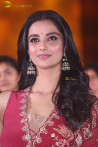 actress Meenakshi Chaudhary gorgeous in a pink dress