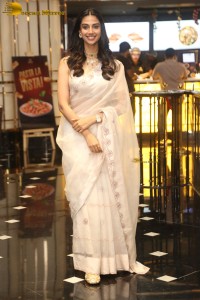 actress Meenakshi Chaudhary in a saree