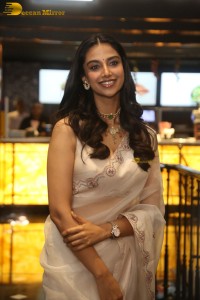 actress Meenakshi Chaudhary in a saree