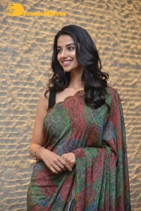 Meenakshi Chaudhary cute in a colorful saree