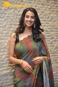 Meenakshi Chaudhary cute in a colorful saree