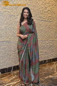 Meenakshi Chaudhary cute in a colorful saree