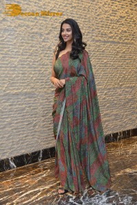 Meenakshi Chaudhary cute in a colorful saree