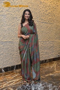 Meenakshi Chaudhary cute in a colorful saree