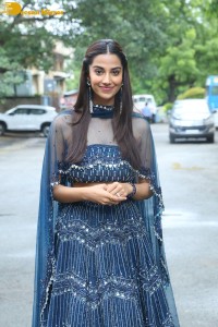 Telugu Actress Meenakshi Chaudhary in a blue dress