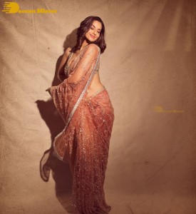 Meenakshi-Chaudhary in a light orange saree