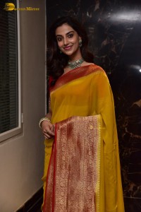 Indian Actress Meenakshi Chaudhary in a yellow saree